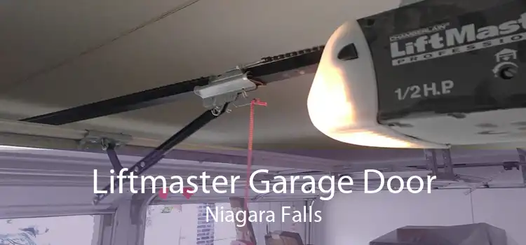 Liftmaster Garage Door Niagara Falls